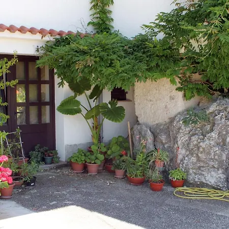 With Parking Space Punat, Krk - 5428 * Punat